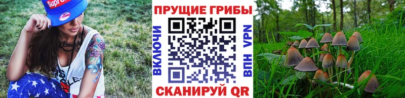 наркота ссылка на мегу ссылка Псилоцибиновые грибы прущие грибы Касли